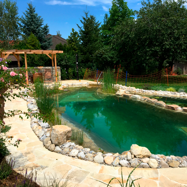 Befüllung Schwimmteich Der Schwimmteich ist fertig - mit Wasser gefüllt, die Uferpflanzen sind gesetzt.