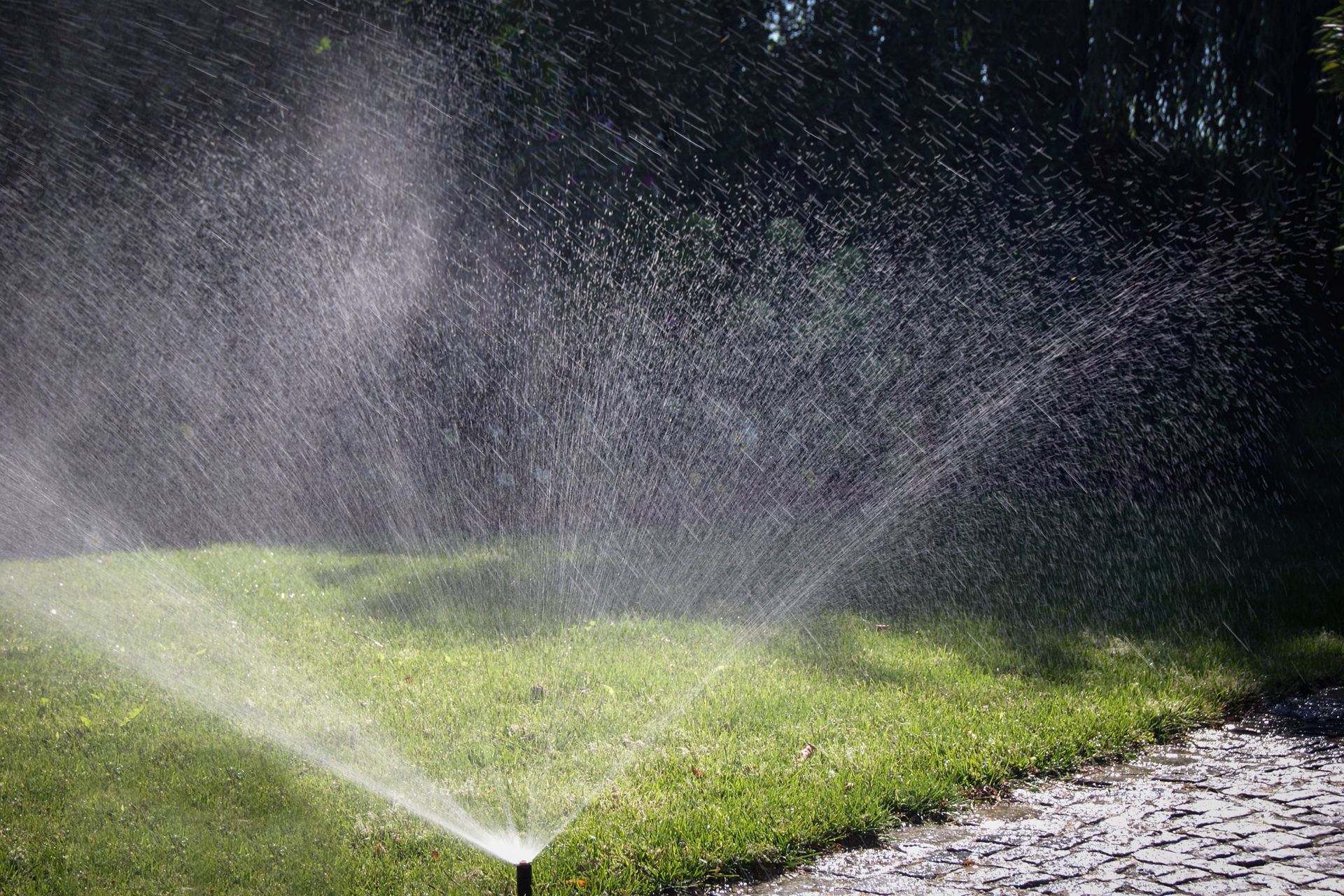 Dynamische Gartengestaltung Eder Bewässerung Rasenfläche die mit einer automatischen Bewässerungsanlage gegossen wird.