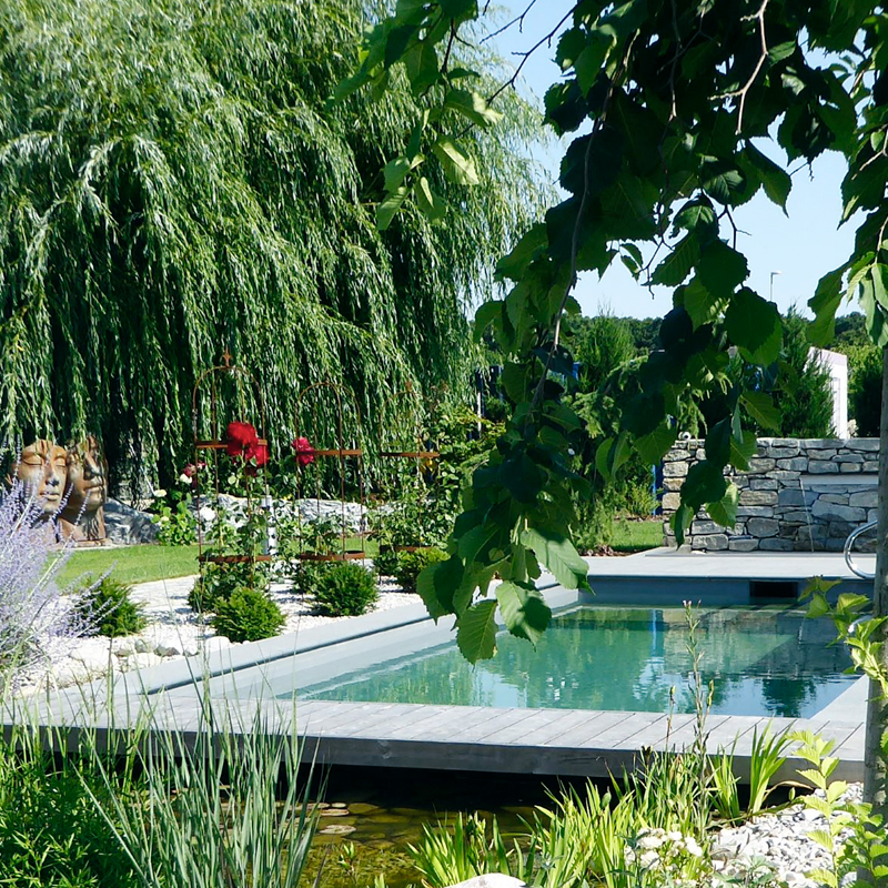 Dynamische Gartengestaltung Eder Naturpool Einladendes Naturpool als Eyecatcher in mitten eines perfekt angelegten, gepflegten Gartens