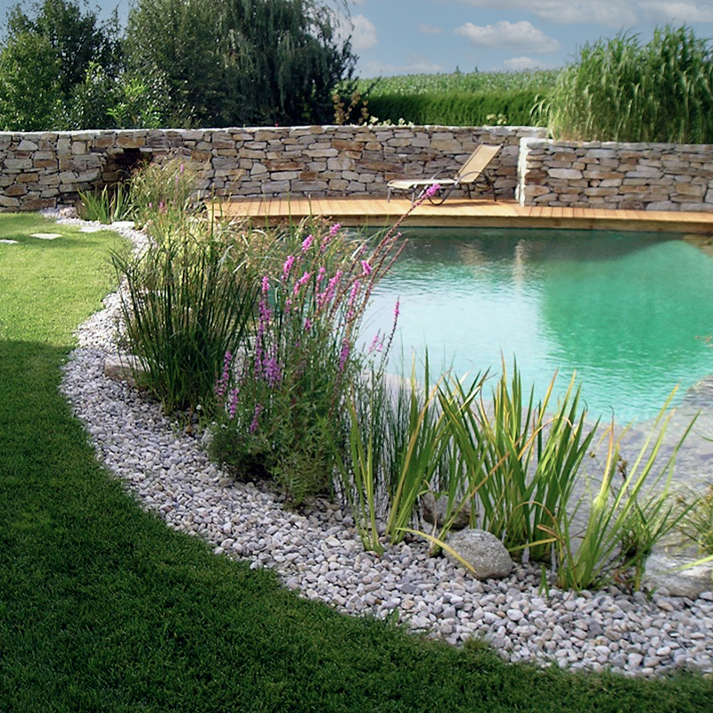 Dynamische Gartengestaltung Eder Schwimmteich Blick auf einen gepflegten Schwimmteich mit Holzsteg auf dem eine Sonnenliege platziert ist. Im Hintergrund zu sehen ist die dekorative Mauer aus Natursteinen - der Blickfang des Gartens.