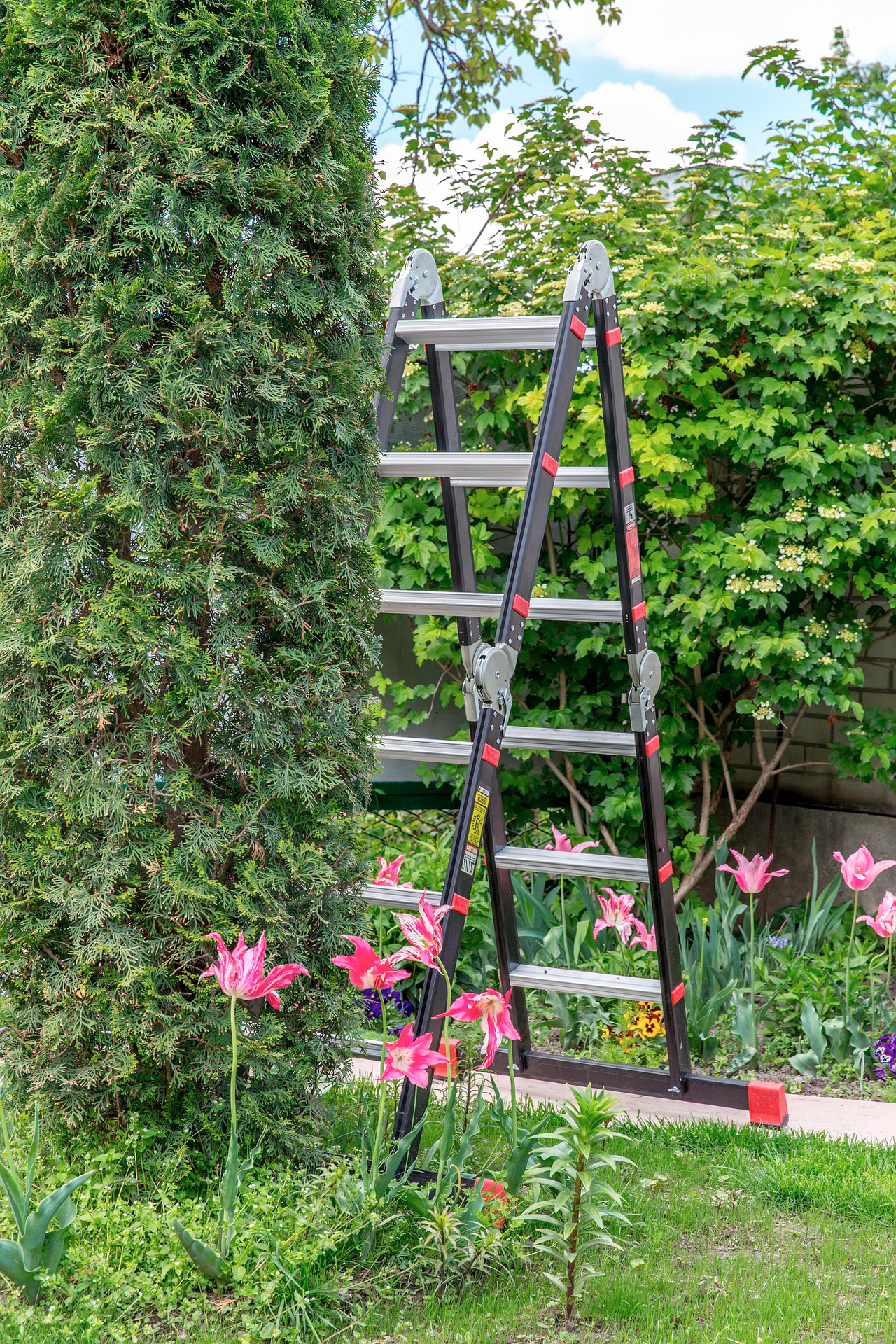 Dynamische Gartengestaltung Eder Gartenarbeit Eine Doppelleiter steht im Garten - startklar um die Bäume zu schneiden.