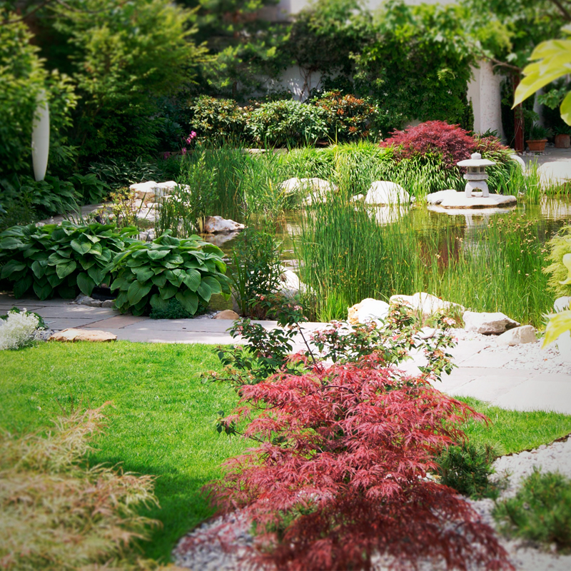 Dynamische Gartengestaltung Eder Gartenanlage Japanischer Garten mit sorgfältig angelegten Wegen aus Kiesel und Pflastersteinen, in der Mitte ein kleiner Zierteich umrandet von Sträuchern und Zierpflanzen sowie einer passenden Gartenbeleuchtung