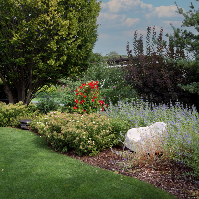 Dynamische Gartengestaltung Eder Gartenanlage Symmetrisch angelegtes Beet aus Ziersträuchern. Im Vordergrund eine kurz gemähte Rasenfläche.