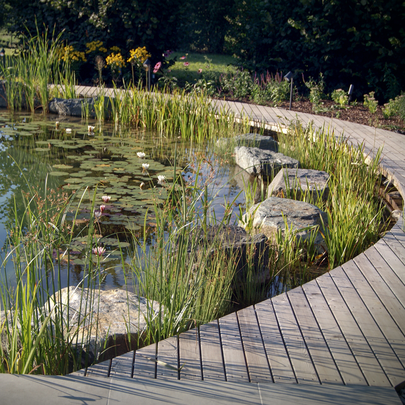 Dynamische Gartengestaltung Eder Schwimmteich Schwimmteich eingebettet in eine idyllische Gartenlandschaft, umgeben von einem Holzsteg.
